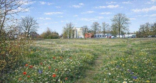 Grundstück Magdeburg Neu Olvenstedt - 2.200.000&euro; | Angebot:25568438