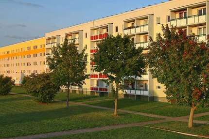 Wohnung Calbe - 2 Zimmer, 49 m&sup2;, 272&euro; | Angebot:26972179