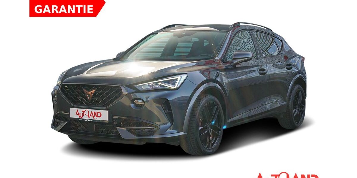 Cupra Formentor 84.490 km 22.990 &euro; Magdeburg 39118