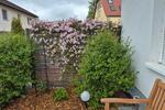 Einfamilienhaus Hohe Börde - 3 Zimmer, 120 m&sup2;, 1.490&euro; | Angebot:27623908