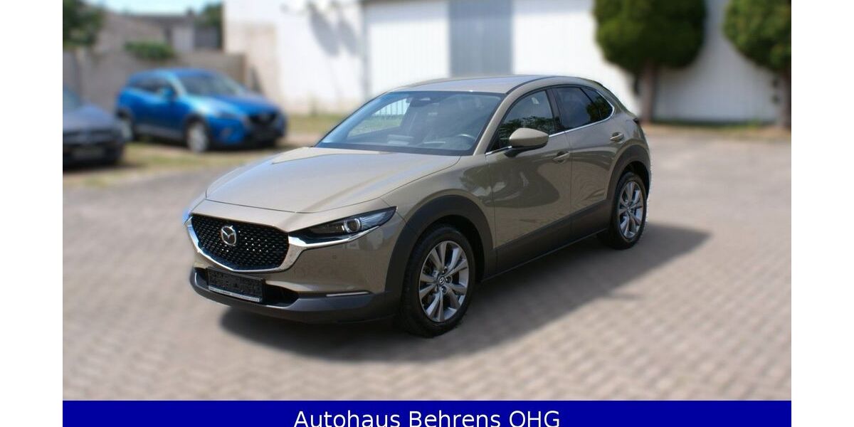 Mazda CX-30 3.650 km 29.990 &euro; Magdeburg 39116