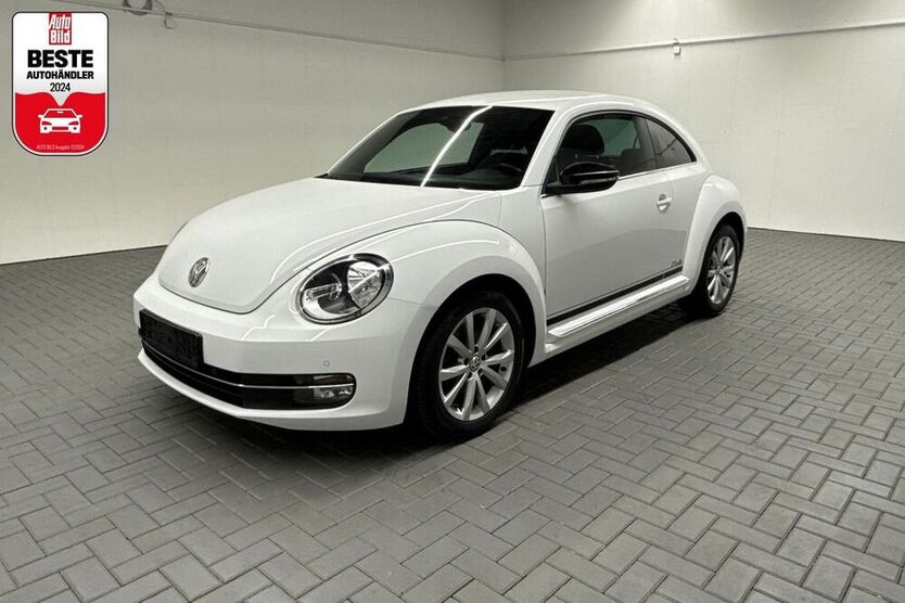 Beetle