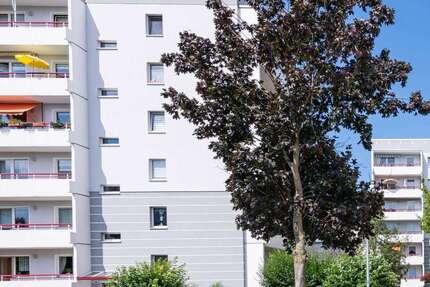 Wohnung Magdeburg Alt Olvenstedt - 2 Zimmer, 43 m&sup2;, 343&euro; | Angebot:26030343