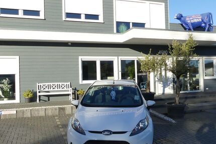 Ford Fiesta 134.000 km 5.000 € Magdeburg 39108