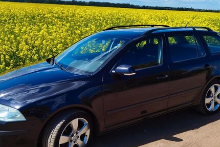 Skoda Octavia 430.100 km 1.999 &euro; Magdeburg 39122