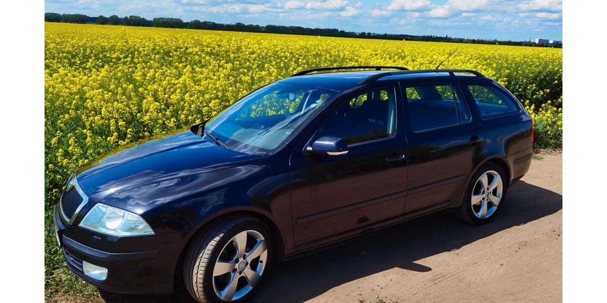 Skoda Octavia 430.100 km 1.999 &euro; Magdeburg 39122
