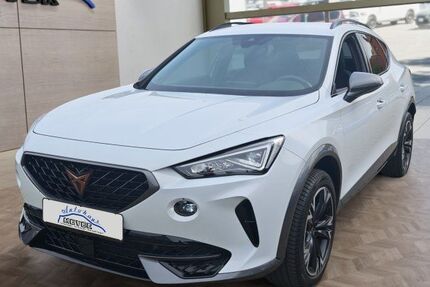 Cupra Formentor 22.500 km 28.910 € Hohenwarsleben bei Magdeburg 39326