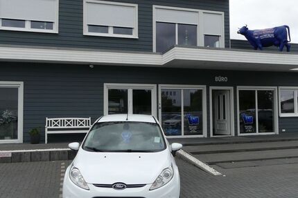 Ford Fiesta 124.000 km 5.500 &euro; Magdeburg 39108