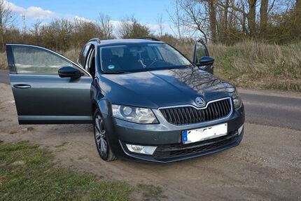 Skoda Octavia 202.100 km 8.490 &euro; Irxleben 39167