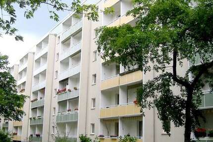 Wohnung Magdeburg Reform - 3 Zimmer, 57 m&sup2;, 375&euro; | Angebot:27355325