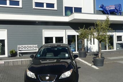 Seat Ibiza 187.000 km 4.500 € Magdeburg 39108