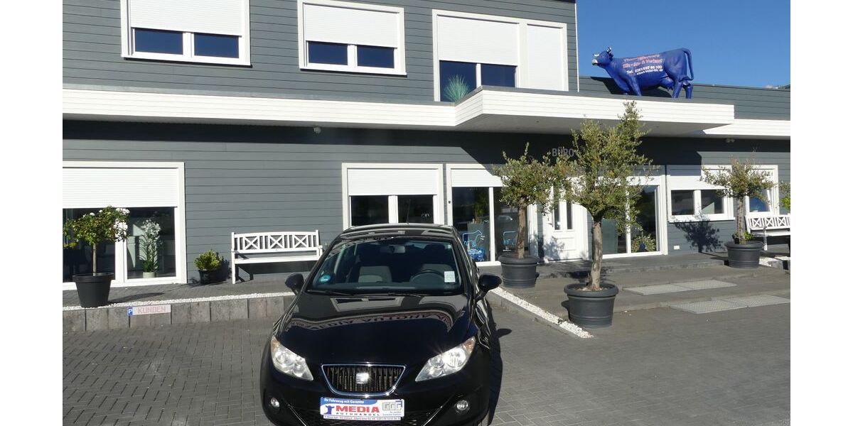 Seat Ibiza 187.000 km 4.500 &euro; Magdeburg 39108