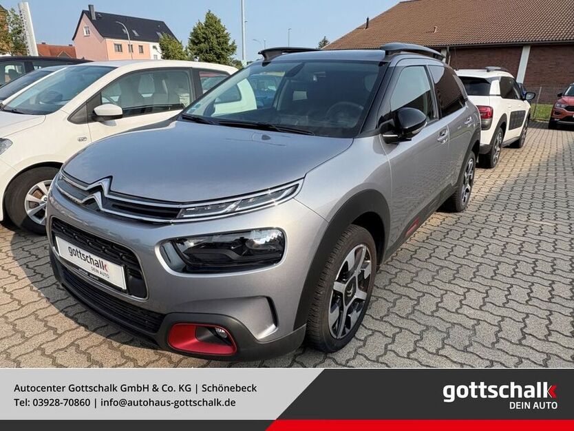 C4 Cactus