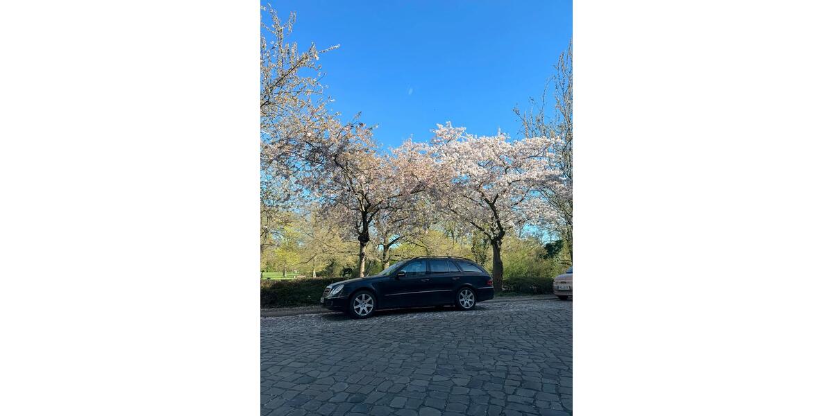 Erdgeschoßwohnung Magdeburg Alte Neustadt - 2 Zimmer, 48 m&sup2;, 352&euro; | Angebot:26614492
