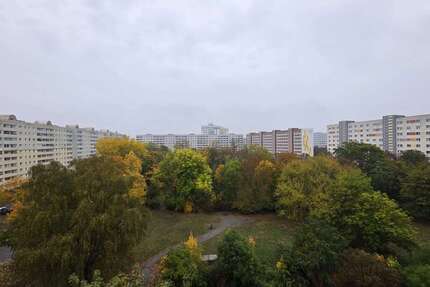 Wohnung Magdeburg Barleber See - 3 Zimmer, 67 m&sup2;, 500&euro; | Angebot:27710624