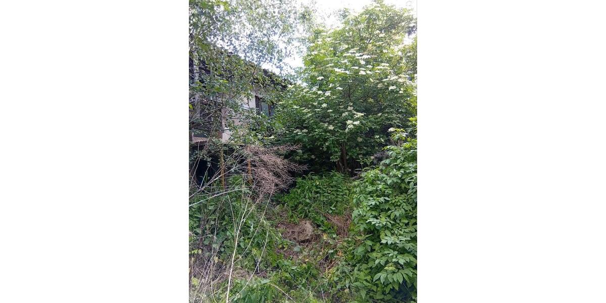 Mehrfamilienhaus, Wohnhaus Barby - 10 Zimmer, 160 m&sup2;, 22.000&euro; | Angebot:26777427
