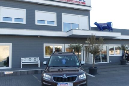 Skoda Yeti 48.000 km 14.000 &euro; Magdeburg 39108