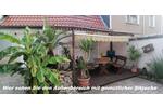 Einfamilienhaus Magdeburg Ottersleben - 3 Zimmer, 95 m&sup2;, 1.150&euro; | Angebot:26498019