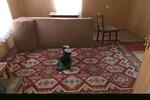 Einfamilienhaus Eilsleben - 11 Zimmer, 160 m&sup2;, 32.999&euro; | Angebot:27107774