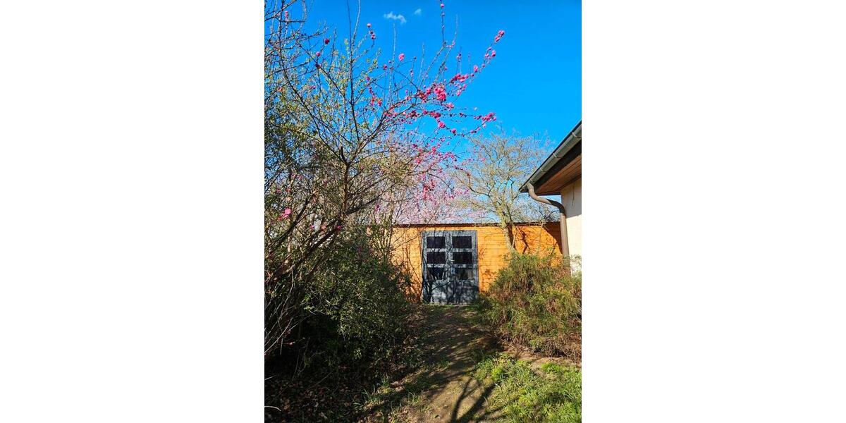 Bungalow Möckern - 5 Zimmer, 125 m&sup2;, 300.000&euro; | Angebot:26067853