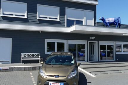 Ford Fiesta 34.000 km 7.500 &euro; Magdeburg 39108