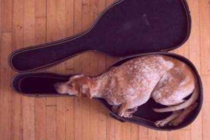 Wohnung Magdeburg Alte Neustadt - 1 Zimmer, 35 m&sup2;, 395&euro; | Angebot:25293931