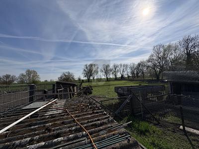 NATUR PUR- VIEL PLATZ FÜR DIE GESAMTE FAMILIE - Grundstück Drackenstedt Drackenstedt | Angebot:26326841