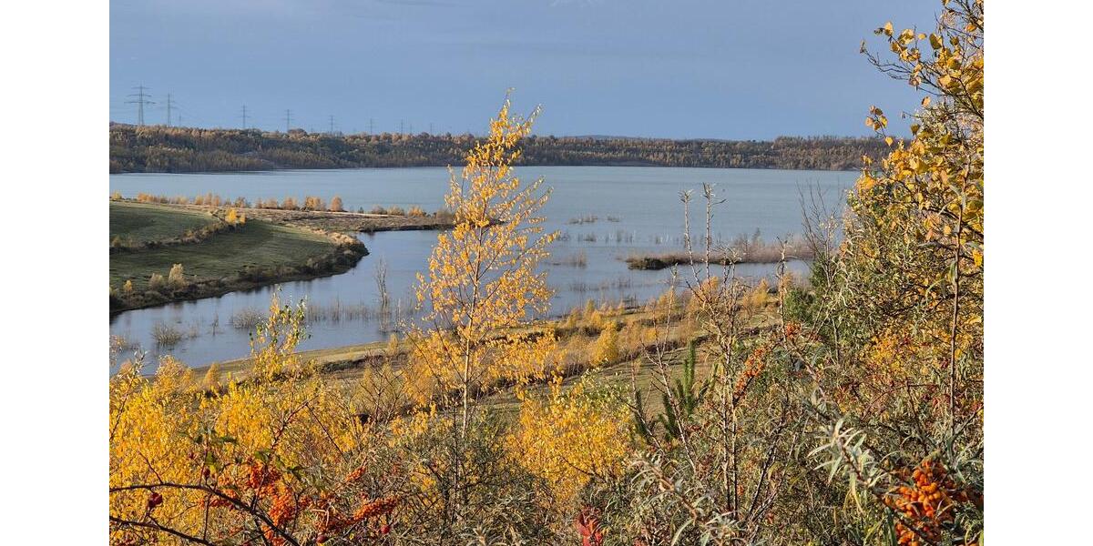 Doppelhaushälfte Eilsleben - 4 Zimmer, 125 m&sup2;, 149.000&euro; | Angebot:25961837