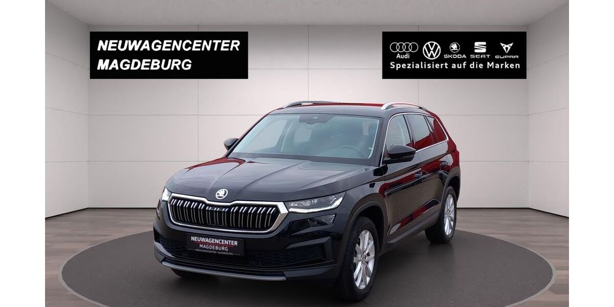 Skoda Kodiaq 73.735 km 33.980 &euro; Magdeburg 39128