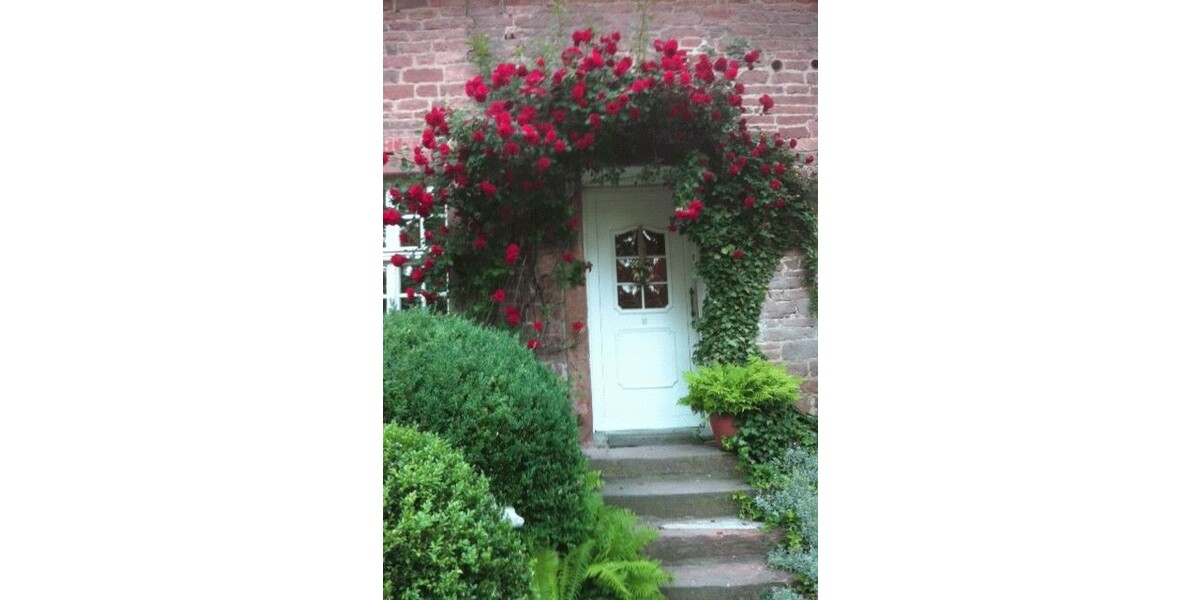 Torhaus, altes Kutscherhaus - Einfamilienhaus Altenhausen | Angebot:19802537