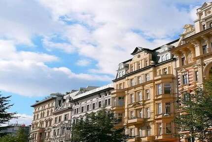 Wohnung zum Mieten in Magdeburg, Altstadt 450 € 39.38 m² 1 zimmer