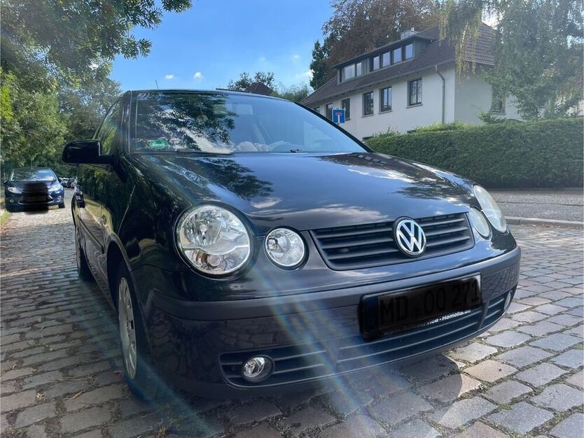 Polo