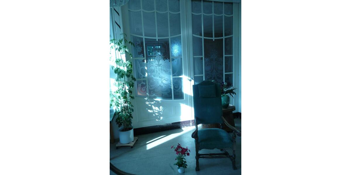 Villa Bördeland - 31 Zimmer, 1.100 m&sup2;, 490.000&euro; | Angebot:26059700