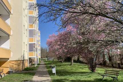 Wohnung Calbe (Saale) - 1 Zimmer, 33 m&sup2;, 220&euro; | Angebot:5912825