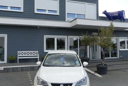 Seat Ibiza 79.000 km 9.900 € Magdeburg 39108