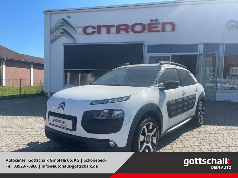 C4 Cactus
