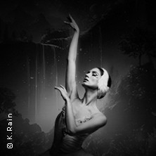Grand Classic Ballet - Schwanensee - Jenseits der Bühne mit live Streichquartett 18.10.2026 AMO