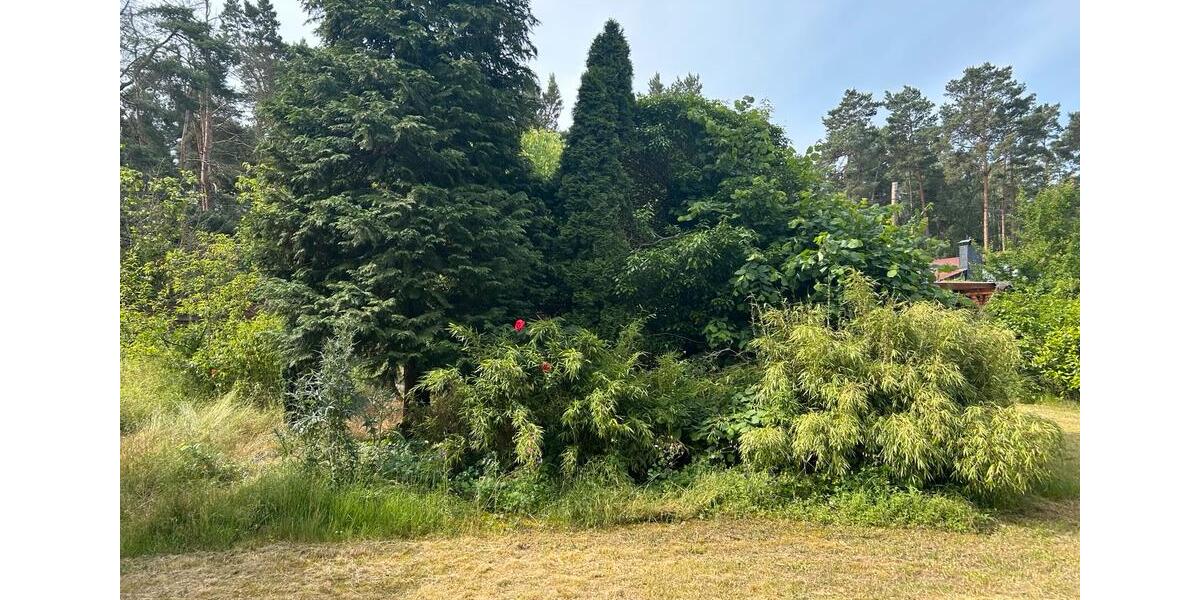 Bungalow Wolmirstedt - 2 Zimmer, 35 m&sup2;, 49.999&euro; | Angebot:26886544