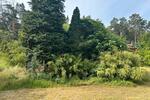 Bungalow Wolmirstedt - 2 Zimmer, 35 m&sup2;, 49.999&euro; | Angebot:26886544