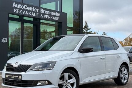 Skoda Fabia 84.600 km 8.950 &euro; Magdeburg 39118