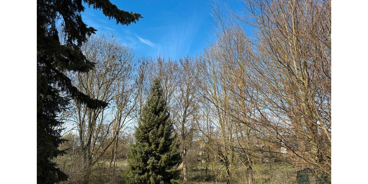 Einfamilienhaus Erxleben - 7 Zimmer, 200 m&sup2;, 219.000&euro; | Angebot:26592096
