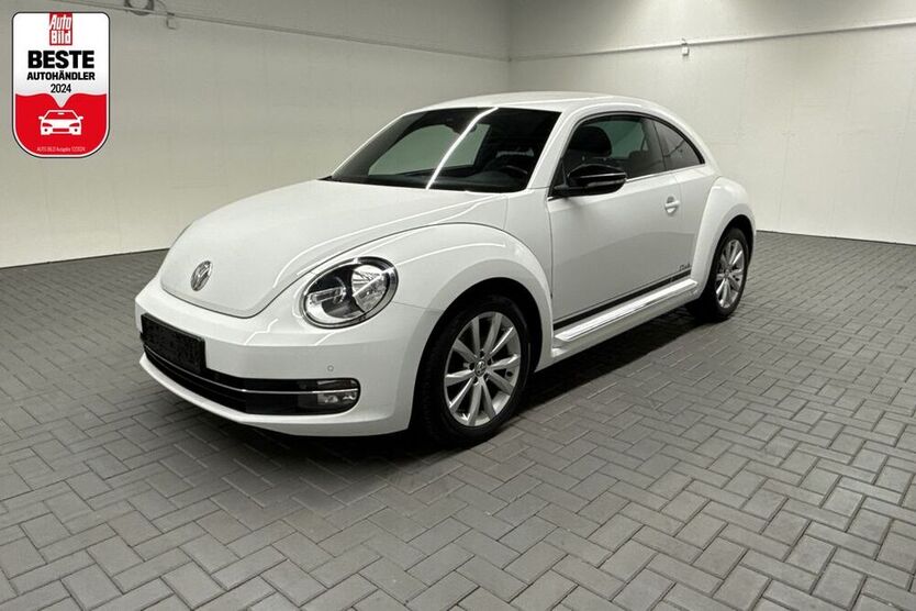 Beetle