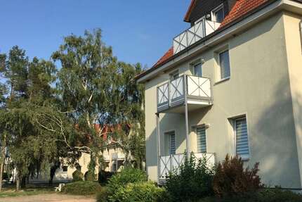 Wohnung Klein Wanzleben Remkersleben - 2 Zimmer, 67 m&sup2;, 410&euro; | Angebot:26107812