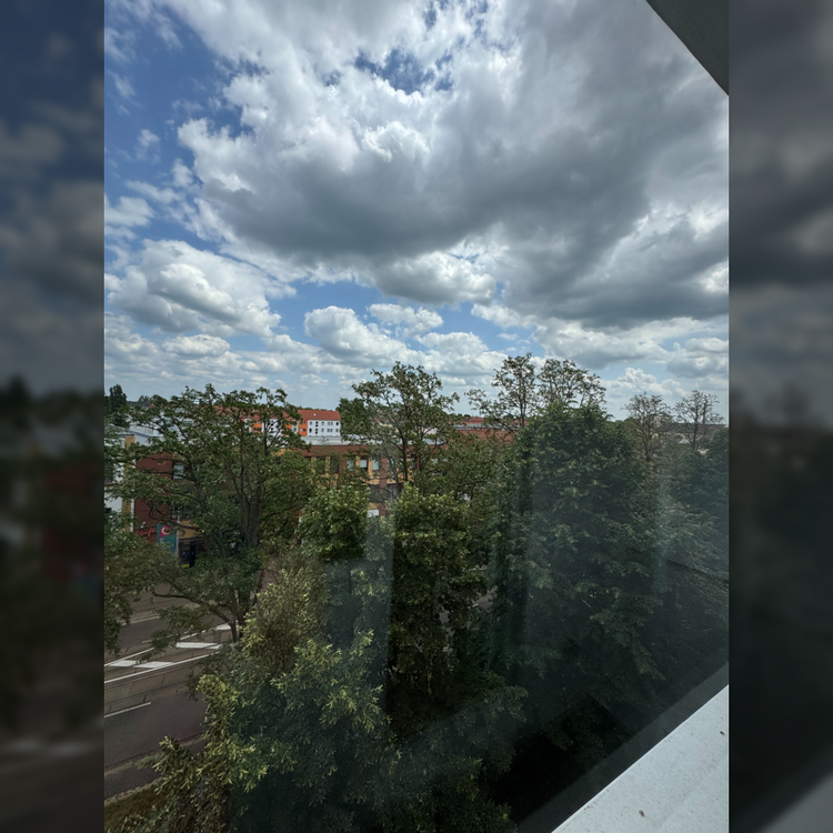 Wohnung zum Mieten in Magdeburg 280 € 33.42 m² 1 zimmer