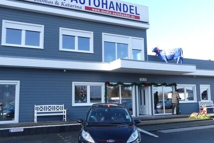 Ford Fiesta 170.000 km 4.900 € Magdeburg 39108