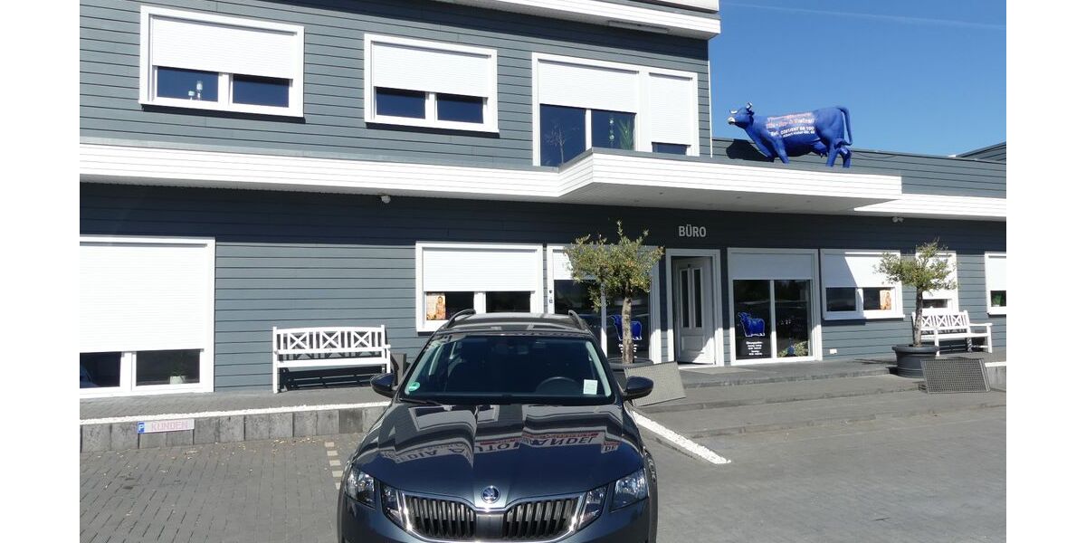 Skoda Octavia 69.000 km 16.000 &euro; Magdeburg 39108