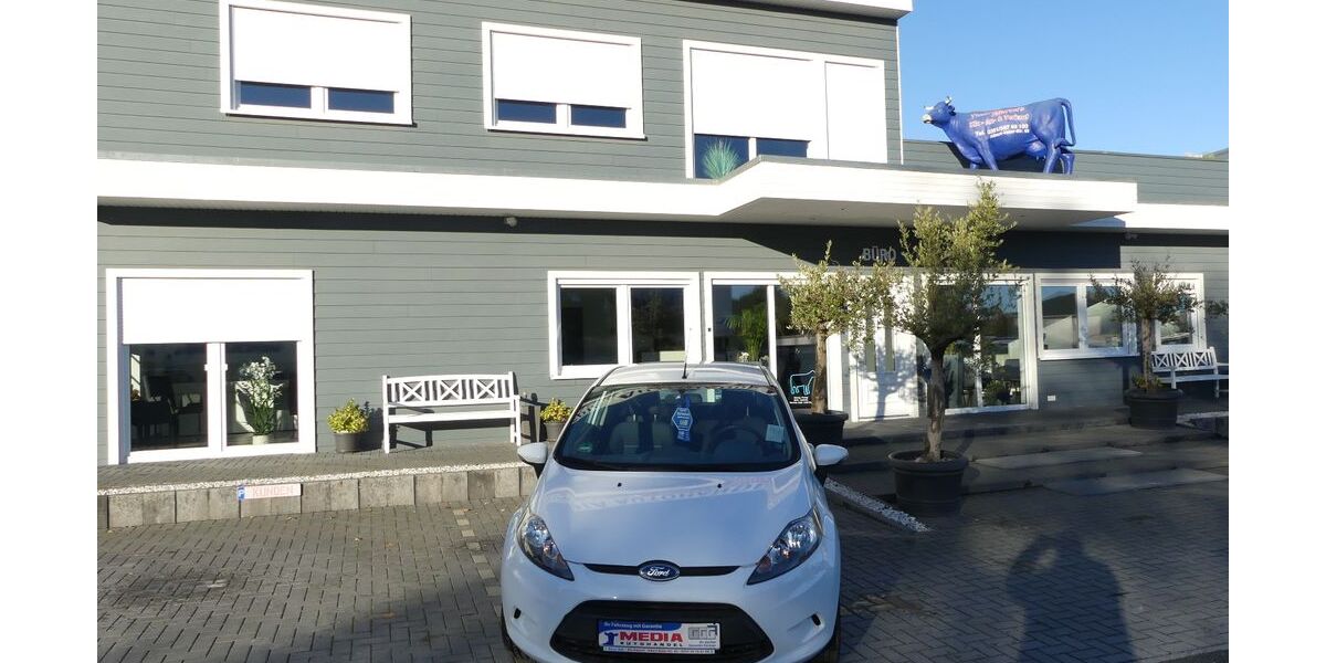Ford Fiesta 134.000 km 5.000 &euro; Magdeburg 39108