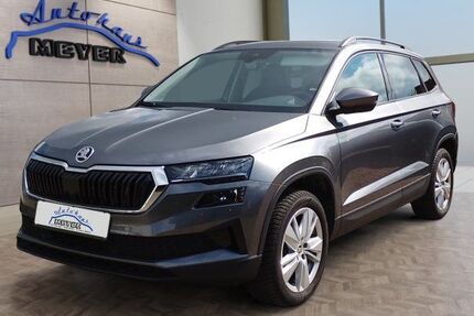 Skoda Karoq 28.800 km 31.899 &euro; Hohenwarsleben bei Magdeburg 39326