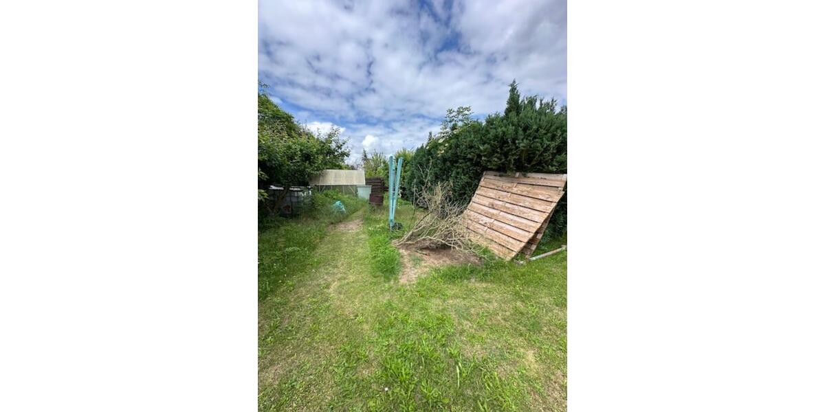 Grundstück Hohe Börde - 5.555&euro; | Angebot:17593869