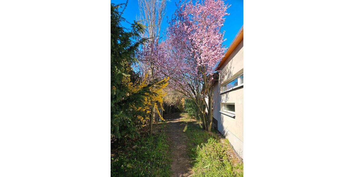 Bungalow Möckern - 5 Zimmer, 125 m&sup2;, 300.000&euro; | Angebot:26067853